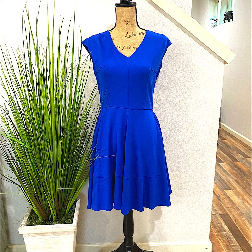 Beautiful Bar lll dress in blue, fit to flare cut, heavier weight